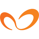 Clio Professional
